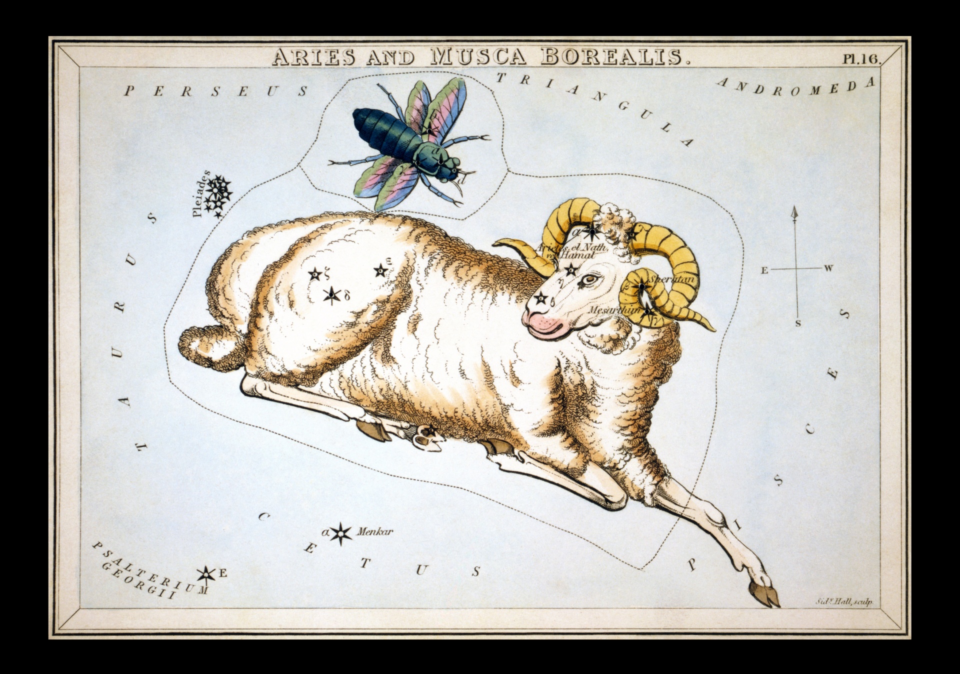Aries vintage zodiac art