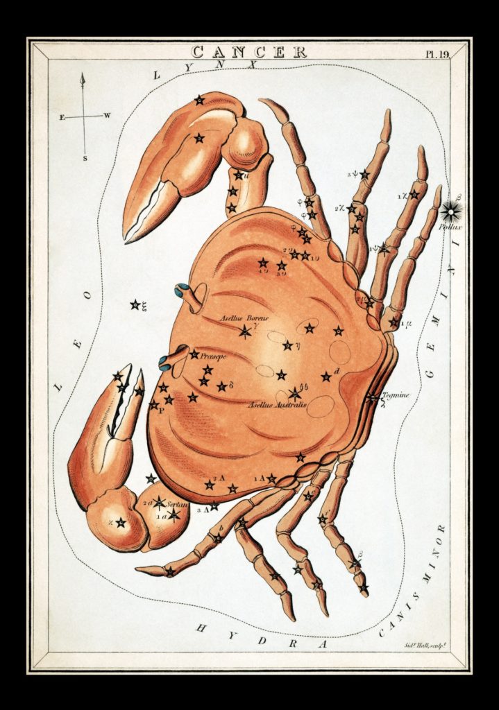Cancer vintage zodiac art
