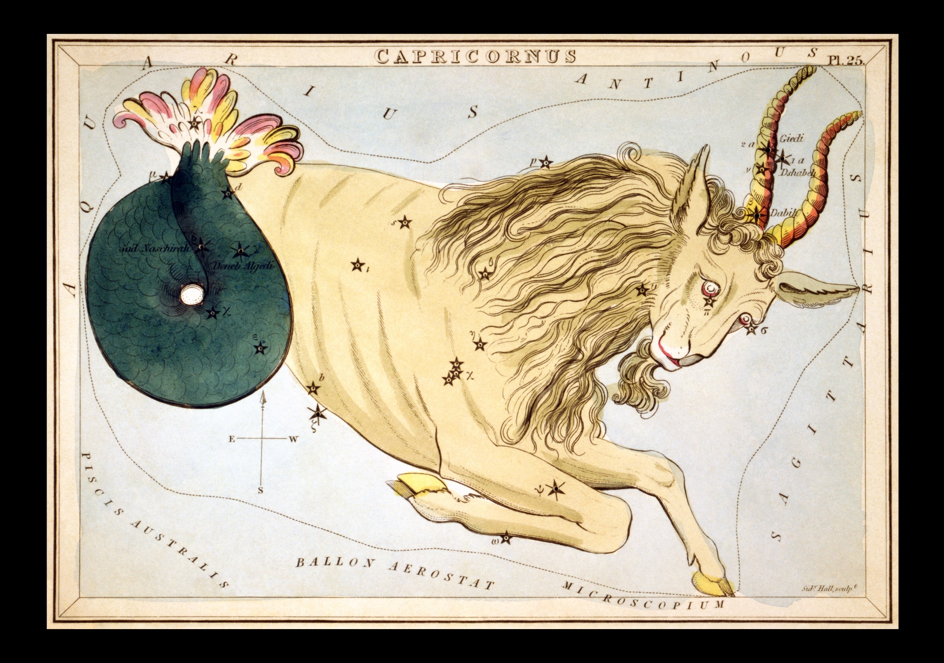 Capricorn vintage zodiac art