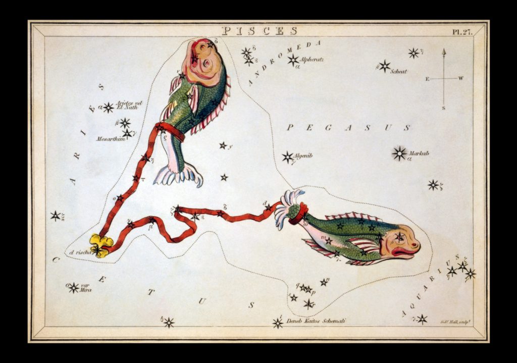 Pisces vintage zodiac art
