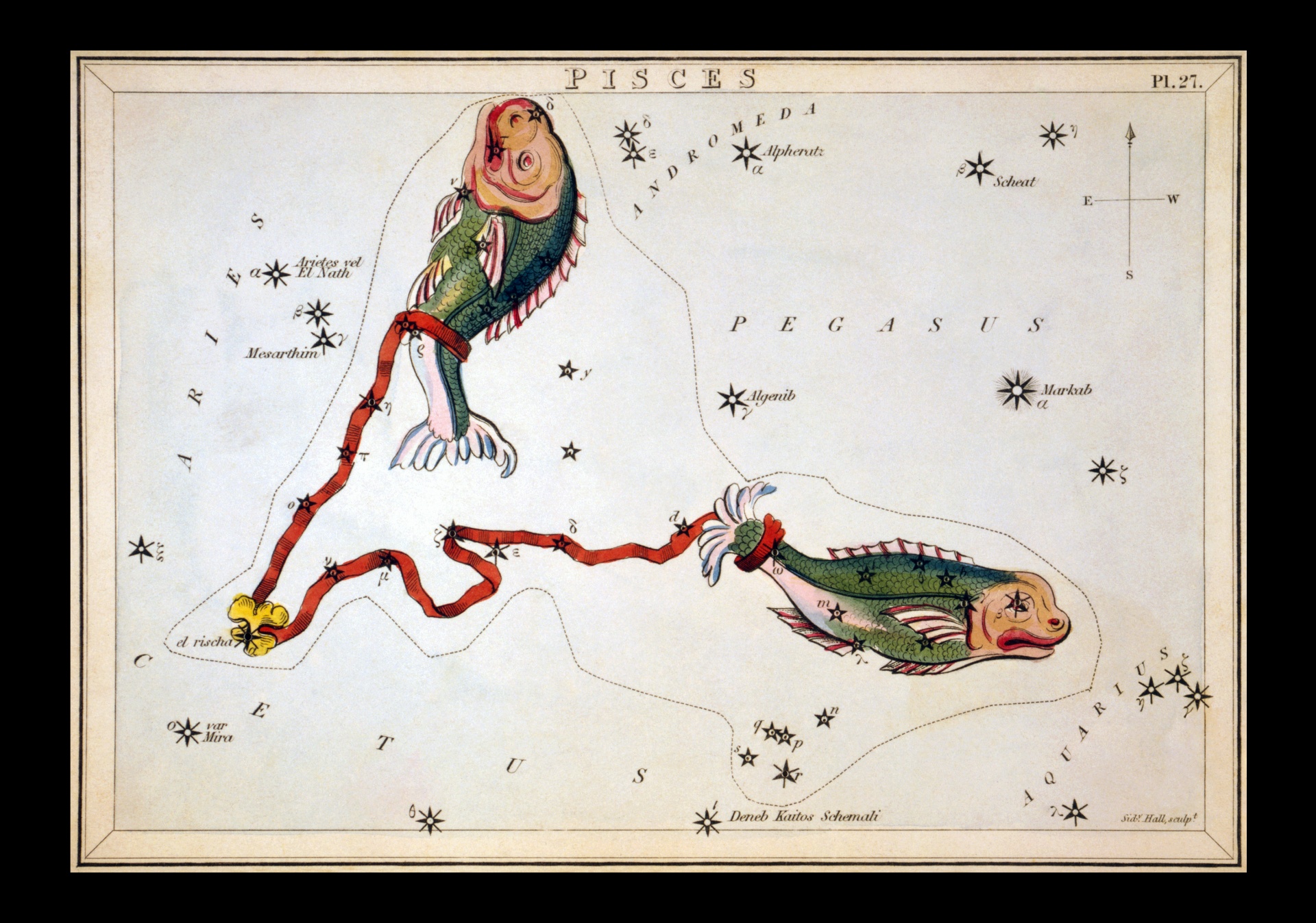 Pisces vintage zodiac art