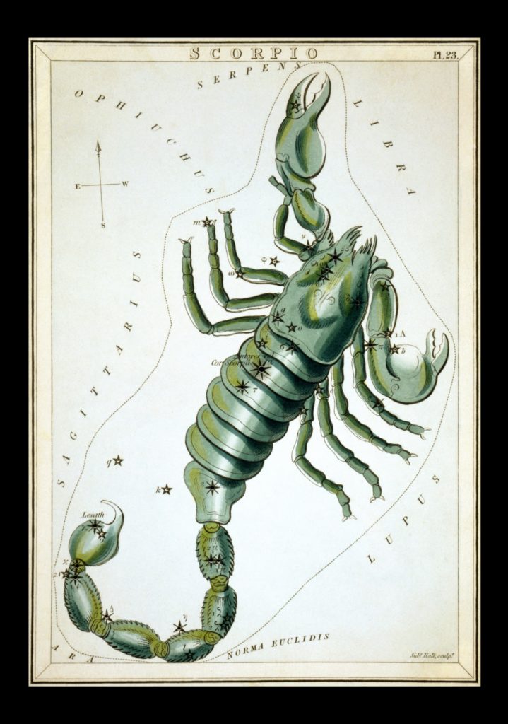 Scorpio vintage zodiac art