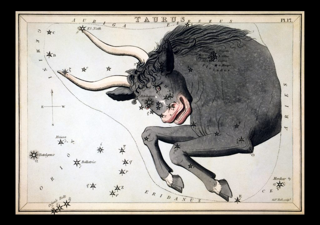 Taurus vintage zodiac art